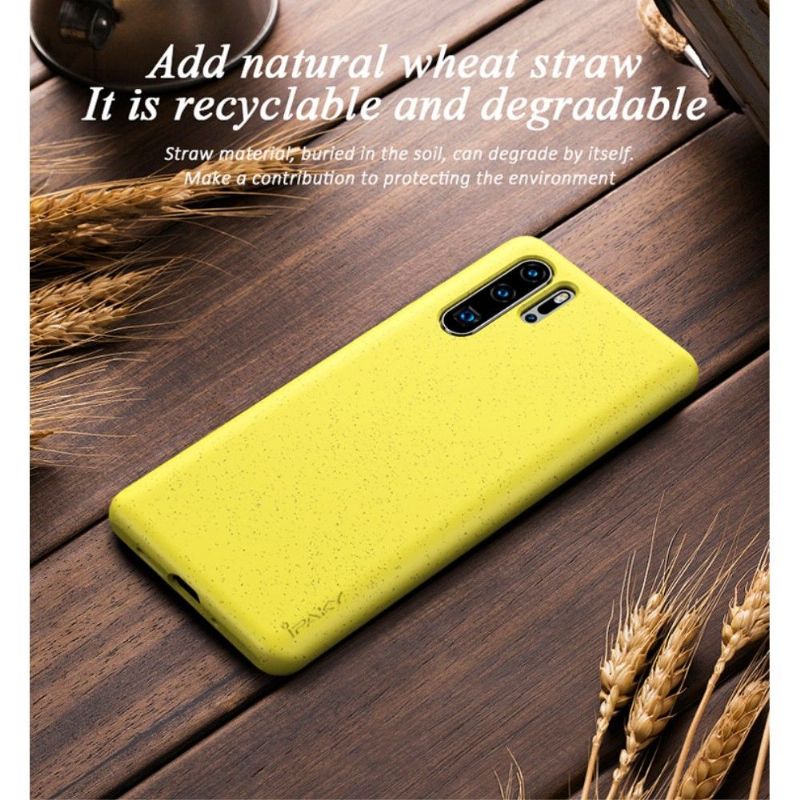 Kryt Na Huawei P30 Pro Obiloviny Ipaky