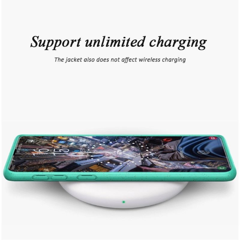 Kryt Na Samsung Galaxy S10 Plus Cereálie S Matným Efektem