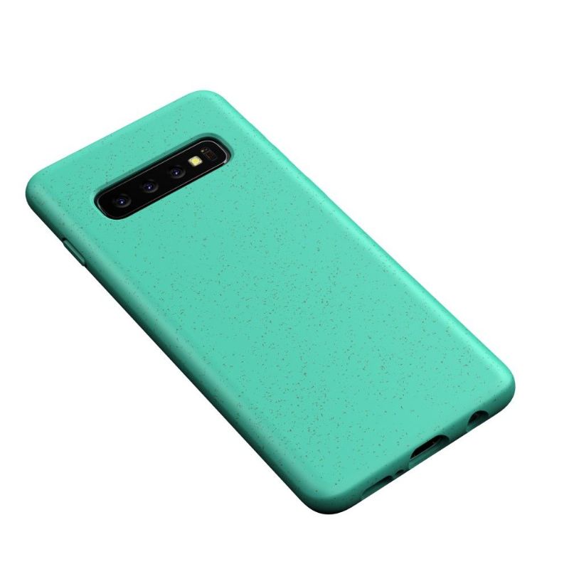 Kryt Na Samsung Galaxy S10 Plus Cereálie S Matným Efektem